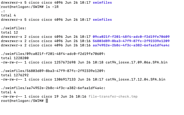 Image synchronization progress in Catalyst Center