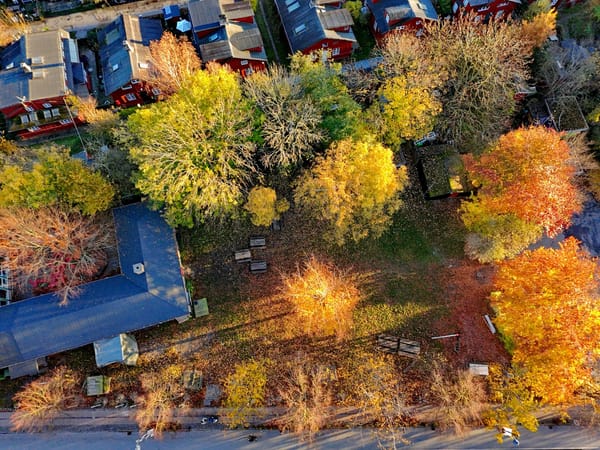 Spejder i hjertet af Islandsbrygge